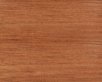 Holzart Meranti