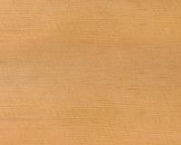 Holzart Hemlock