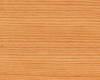 Holzart Oregon