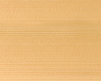 Holzart Fichte
